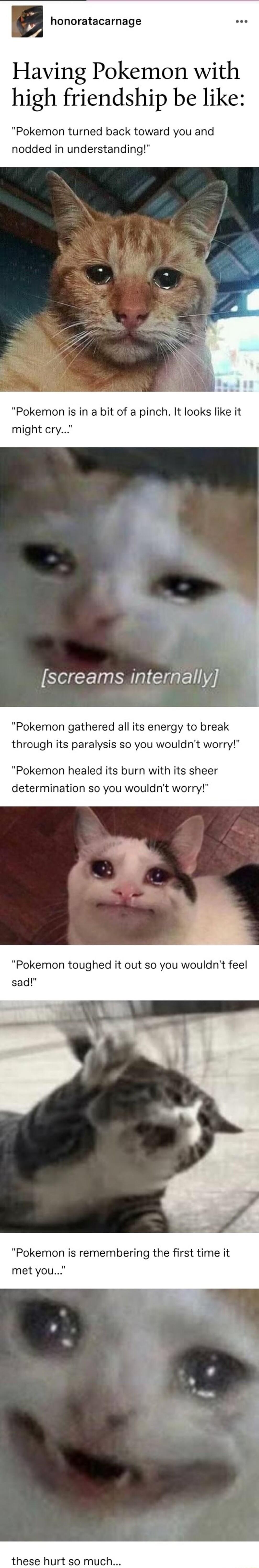 honoratacarnage Having Pokemon with high friendship be like Pokemon turned back toward you and nodded in understanding Pokemon is in a bit of a pinch It looks like it might cry IS CE NN Gl Pokemon gathered all its energy to break through its paralysis so you wouldnt worry Pokemon healed its burn with its sheer determination so you wouldnt worry Pokemon toughed it out so you wouldnt feel sad Pokemo