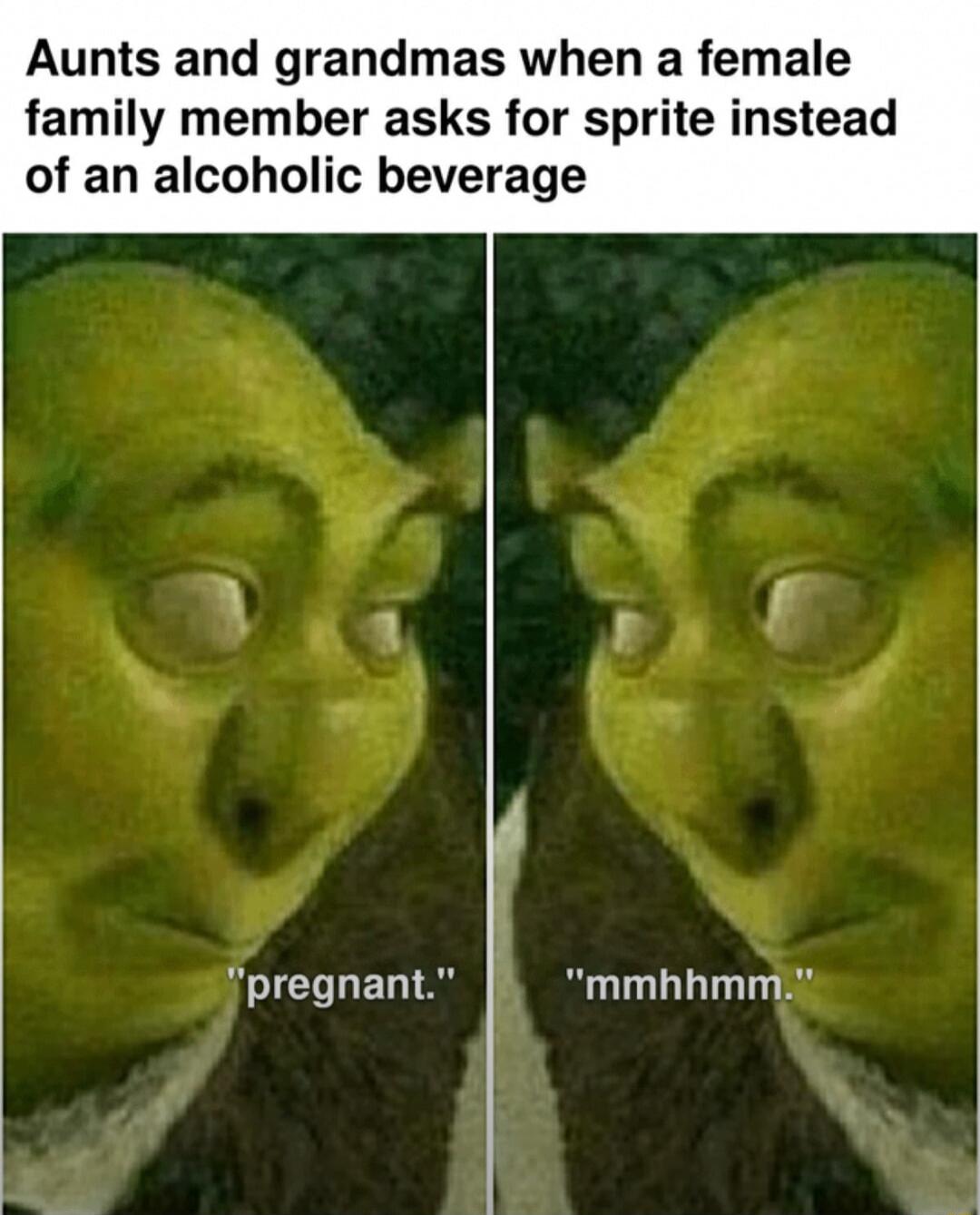 Aunts and grandmas when a female family member asks for sprite instead of an alcoholic beverage pregnant mmhhmm
