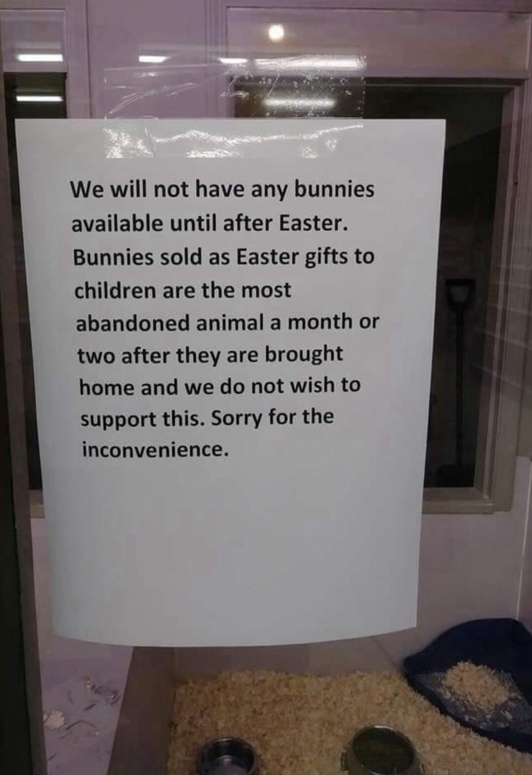 We will not have any bunnies available until after Easter Bunnies sold as Easter gifts to children are the most abandoned animal a month or two after they are brought home and we do not wish to support this Sorry for the inconvenience