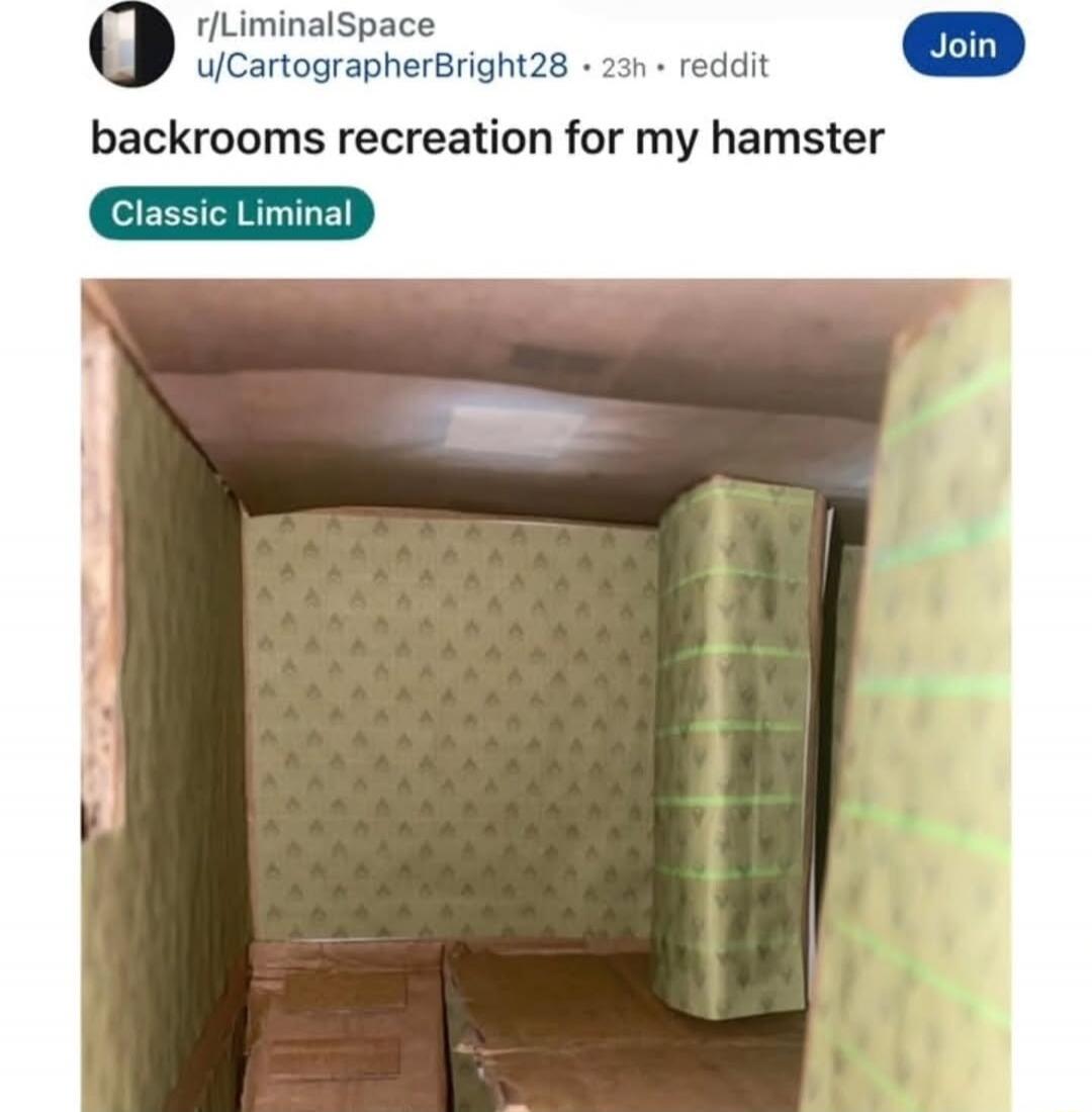 r/LiminalSpace u/CartographerBright28 • 23h • reddit Join backrooms recreation for my hamster Classic Liminal