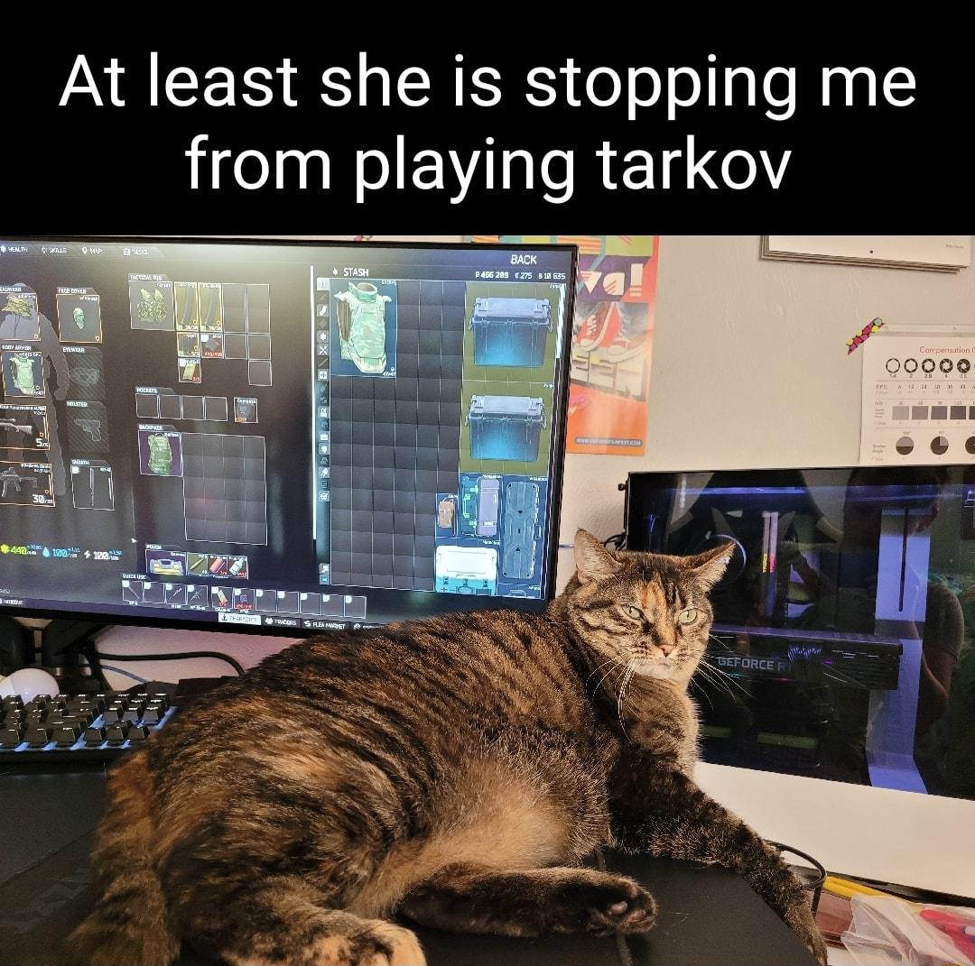 R CER S SRS o o ol le Mg from playing tarkov