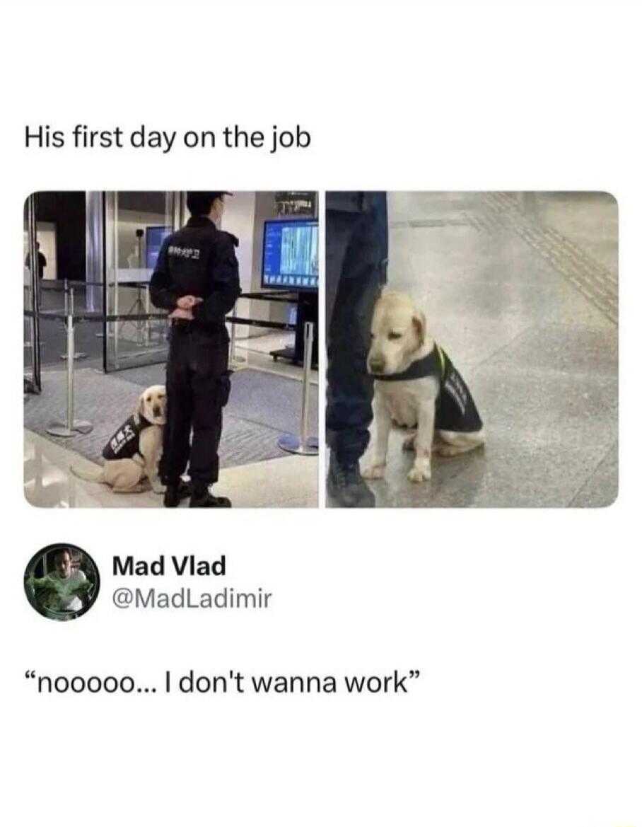 His first day on the job nooooo... I don't wanna work