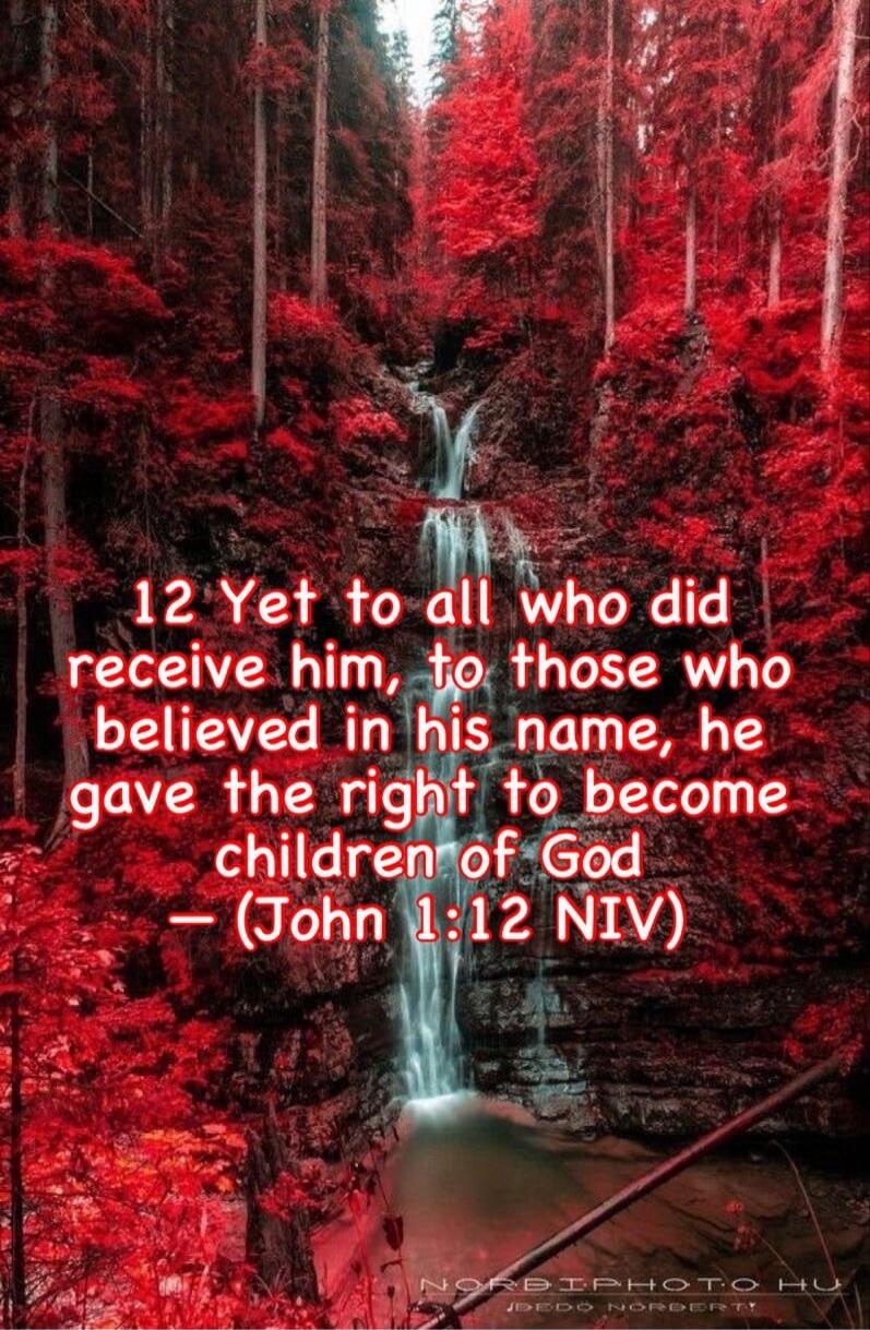 12 Yet to all who did receive him, to those who believed in his name, he gave the right to become children of God — (John 1:12 NIV)
