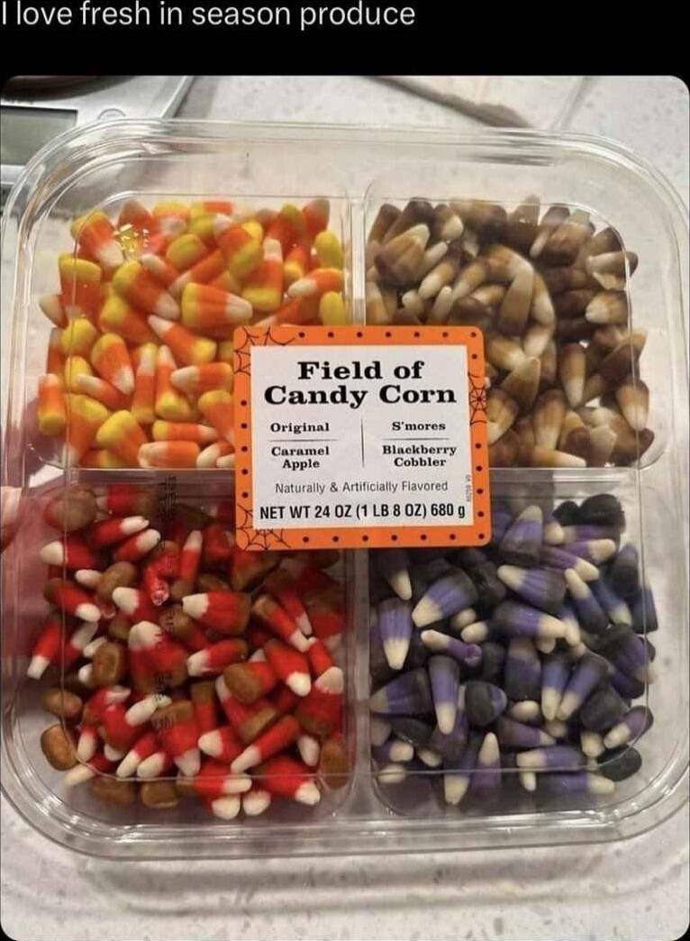 Ilove fresh in season produce 1 o v Field of Candy Corn