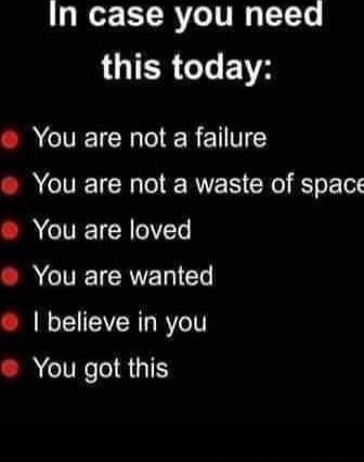 In case you need this today:
You are not a failure
You are not a waste of space
You are loved
You are wanted
I believe in you
You got this