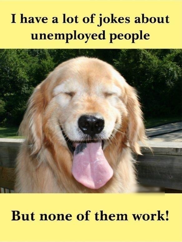 I have a lot of jokes about unemployed people But none of them work