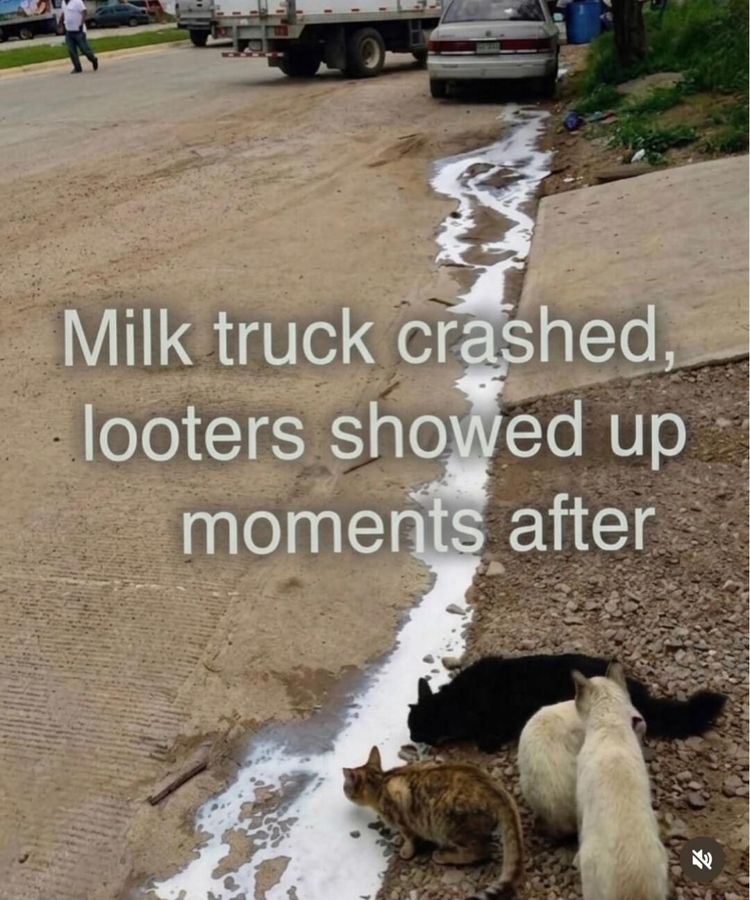 Milk truck crashed, looters showed up moments after
