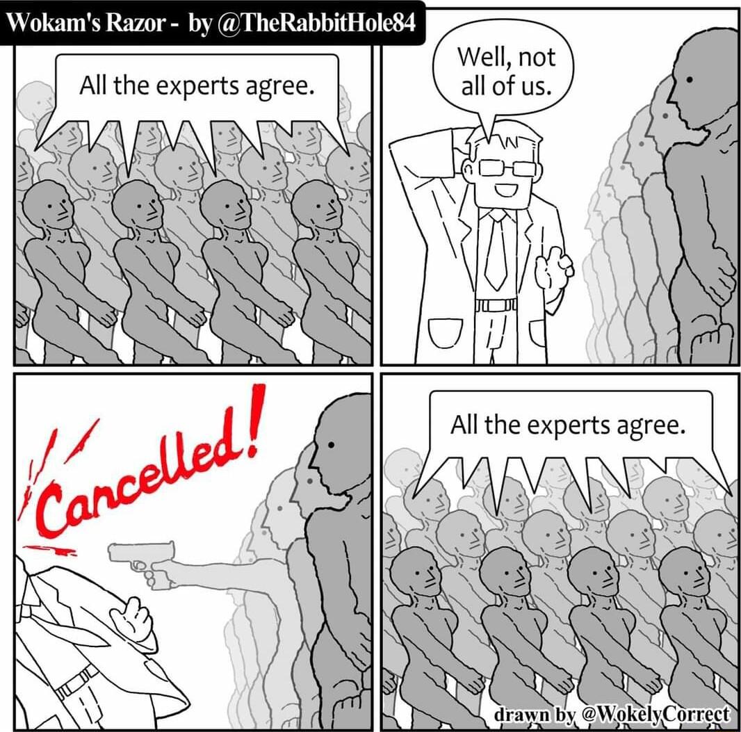 drawn by WokehCorrect