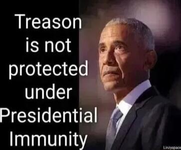 Treason is not protected under Presidential Immunity