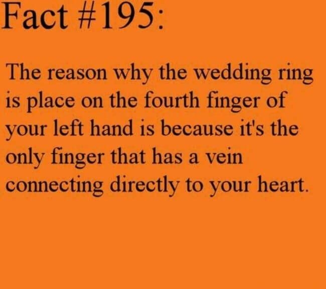 Fact 195 The reason why the wedding ring is place on the fourth finger of your left hand is because its the only finger that has a vein connecting directly to your heart