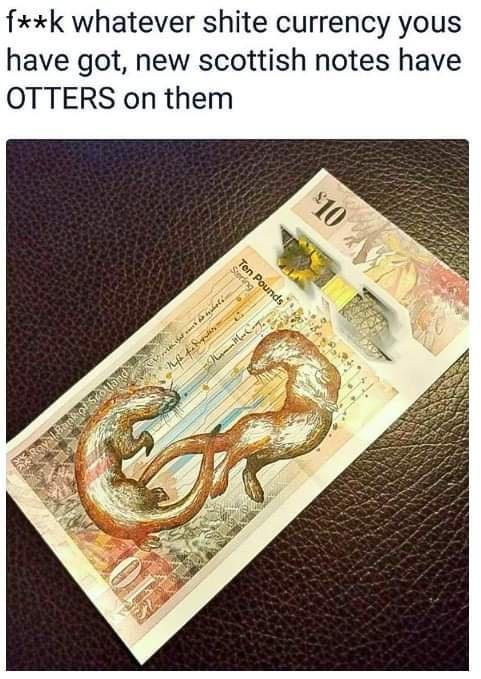 fxxk whatever shite currency yous have got new scottish notes have OTTERS on them