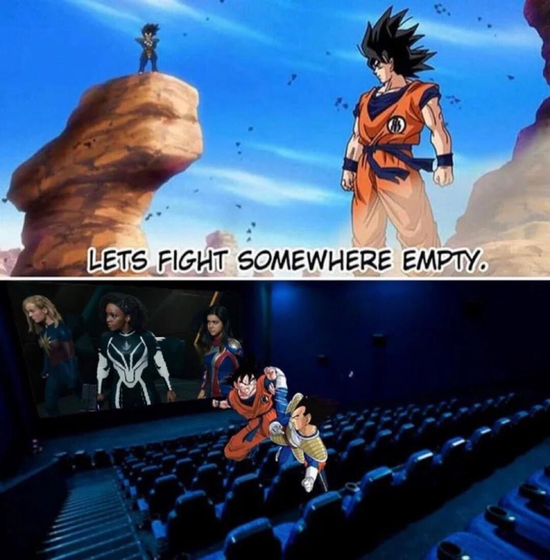 e CETS FIGHT SOMEWHERE EMPTY