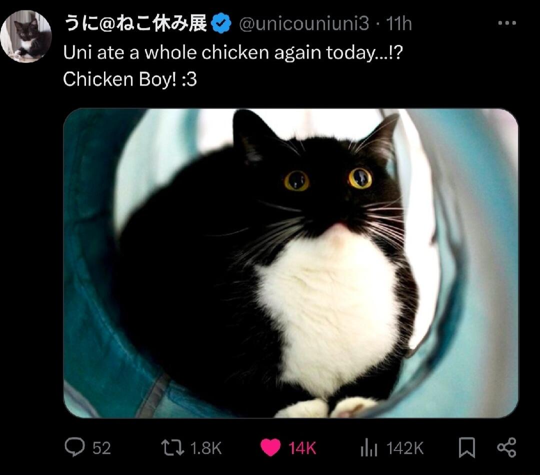 G SicRTHhBRG cunicouniunia 11l Uni ate a whole chicken again today Chicken Boy 3 o O niek k ik Qo
