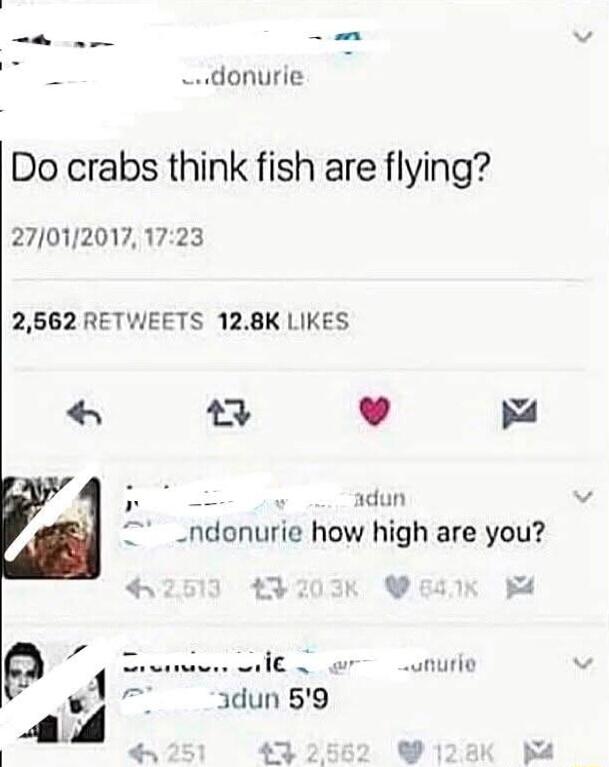 donurie Do crabs think fish are flying 270120171723 2562 RETWEETS 128K LIKES 2 L L adun _ndonurie how high are you 3 L J p B st i Al g