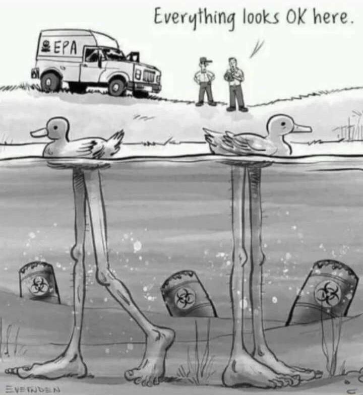 Everything looks OK here