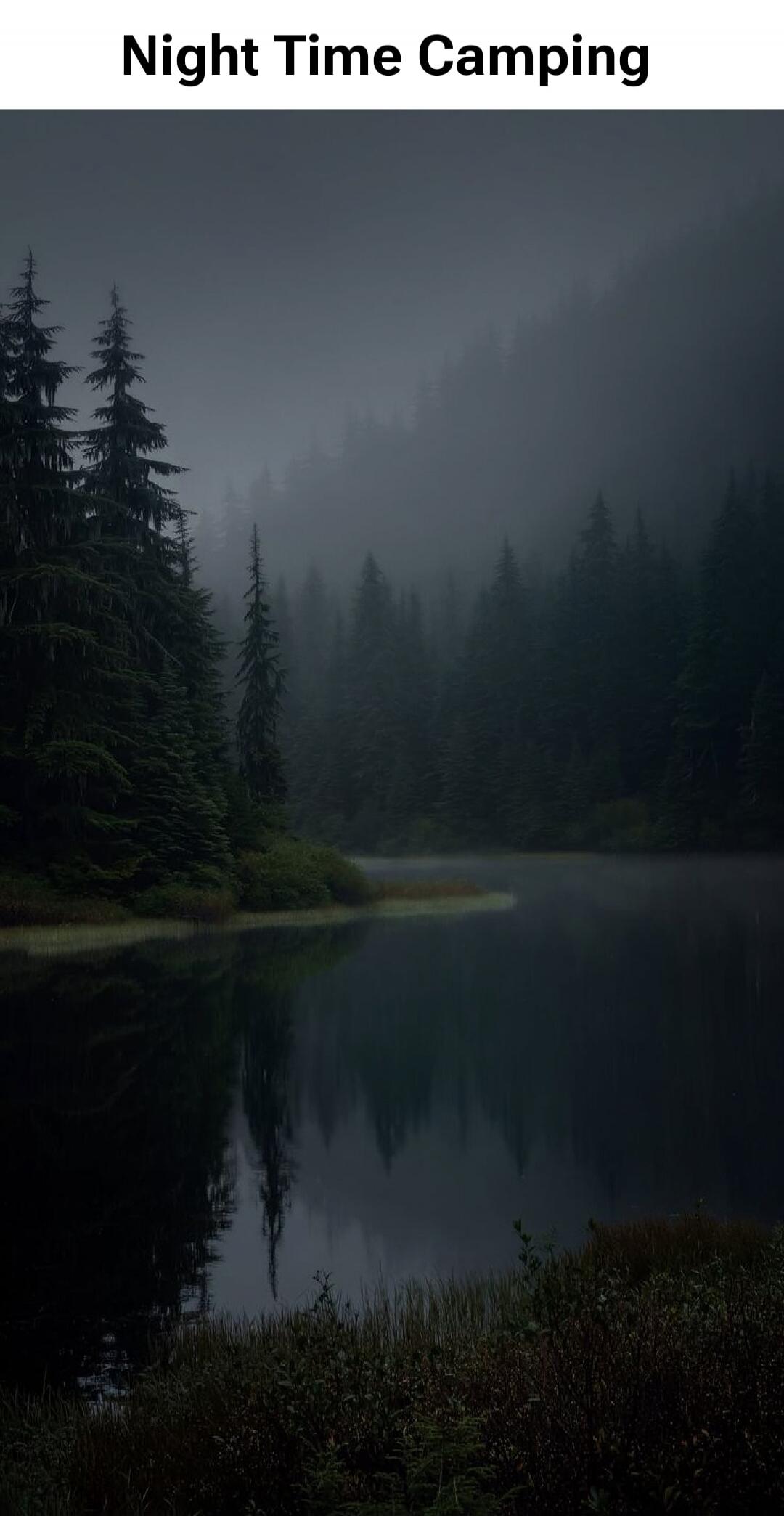 Night Time Camping