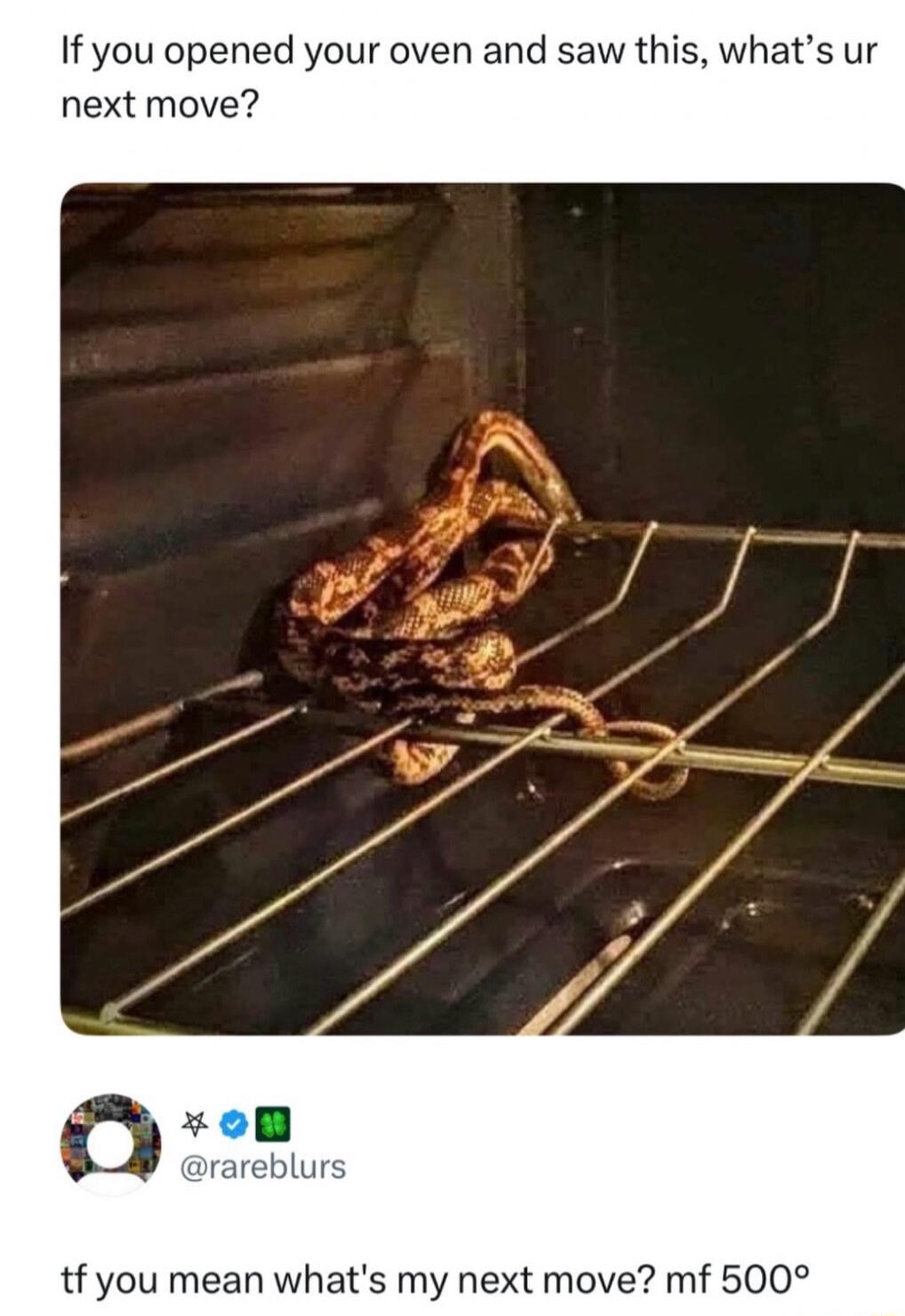 If you opened your oven and saw this, what's your next move? tf you mean what's my next move? mf 500°