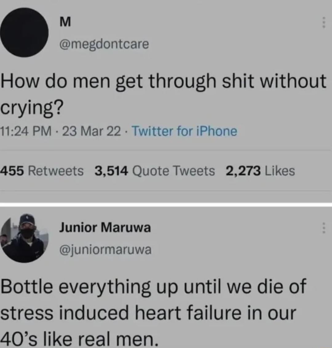 M megdontcare How do men get through shit without crying 1124 PM 23 Mar 22 Twitter for iPhone 455 Retweets 3514 Quote Tweets 2273 Likes Junior Maruwa juniormaruwa Bottle everything up until we die of stress induced heart failure in our 40s like real men
