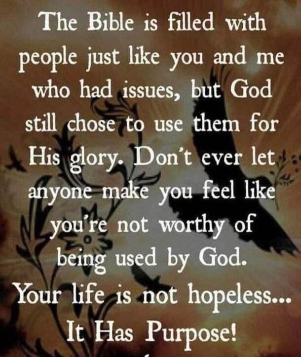 The Bible is filled with people just like you and me who had issues, but God still chose to use them for His glory. Don't ever let anyone make you feel like you're not worthy of being used by God. Your life is not hopeless... It Has Purpose!