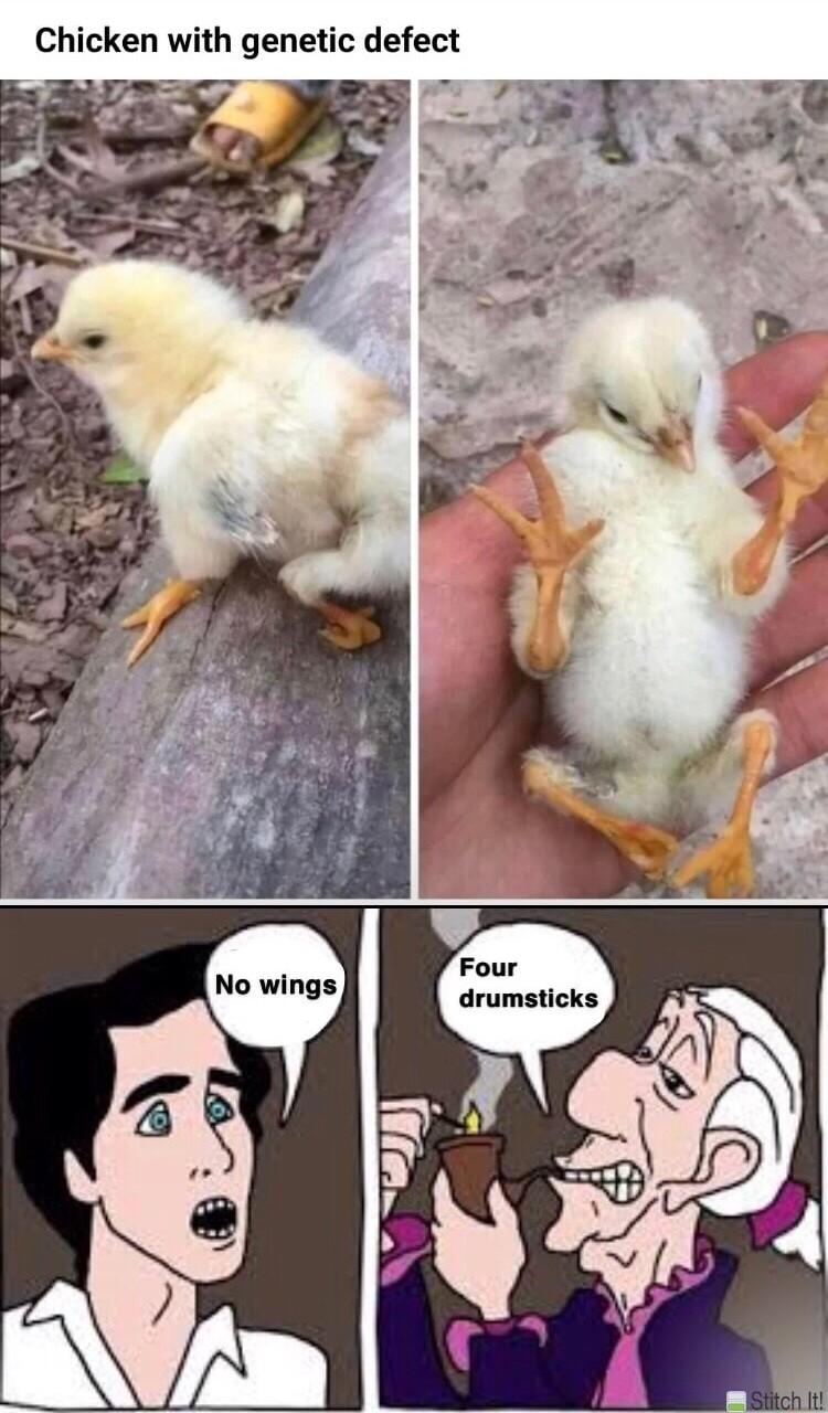 Chicken with genetic defect