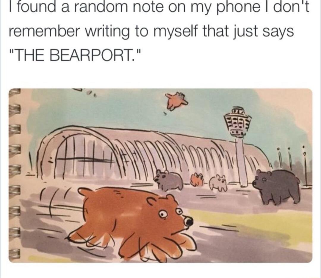 ound a random note on my pnhone don remember writing to myself that just says THE BEARPORT