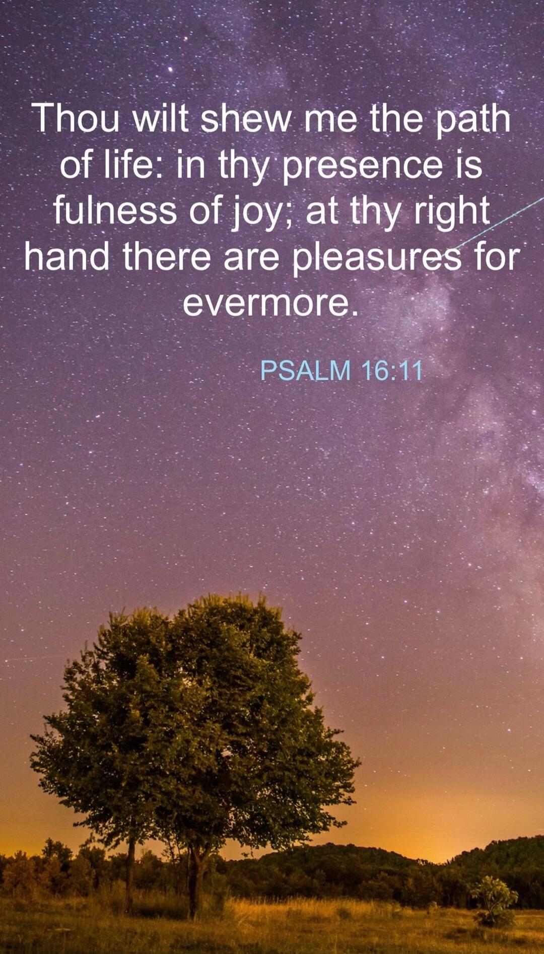 Thou wilt shew me the path of life: in thy presence is fulness of joy; at thy right hand there are pleasures for evermore. PSALM 16:11