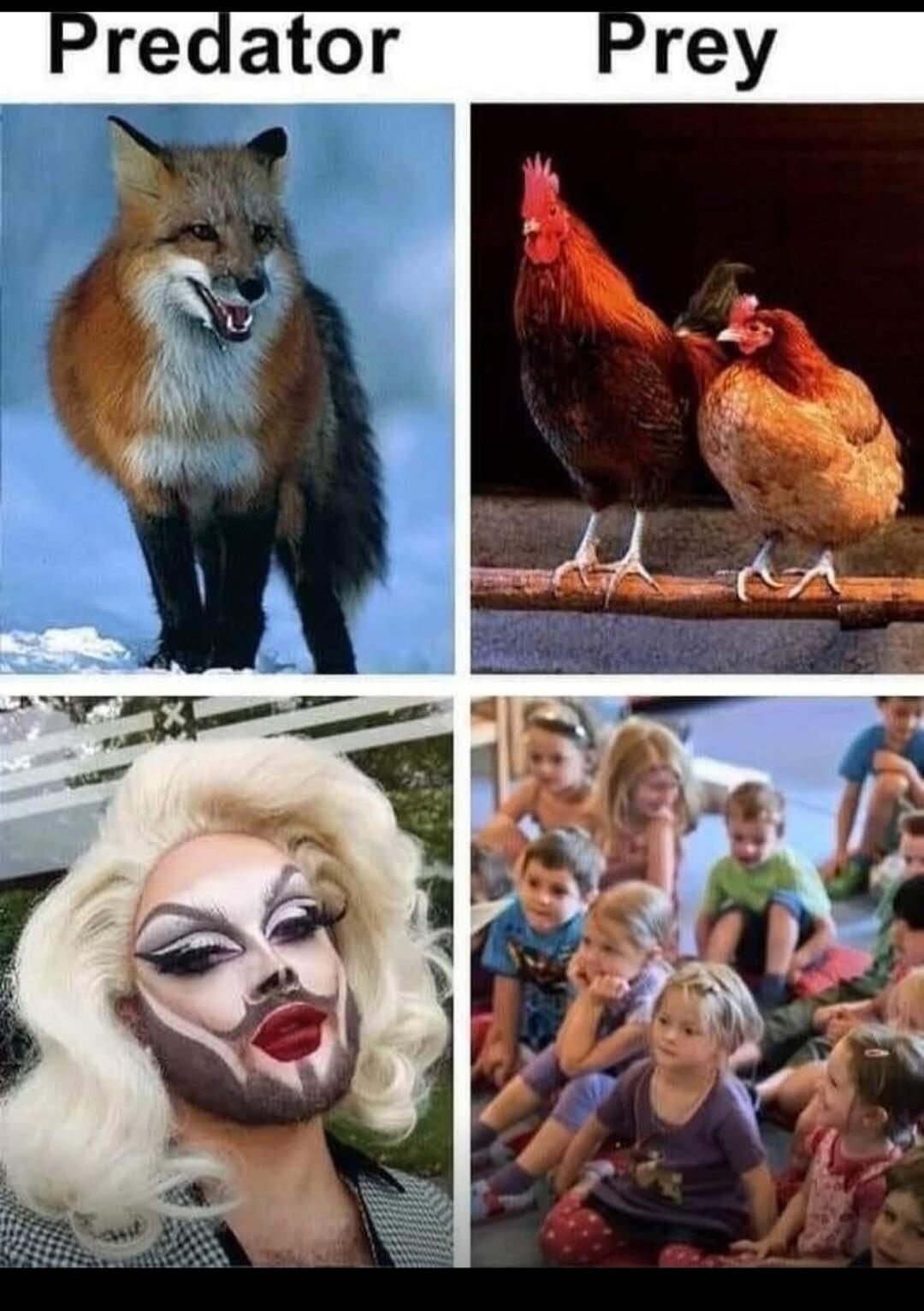 Predator Prey