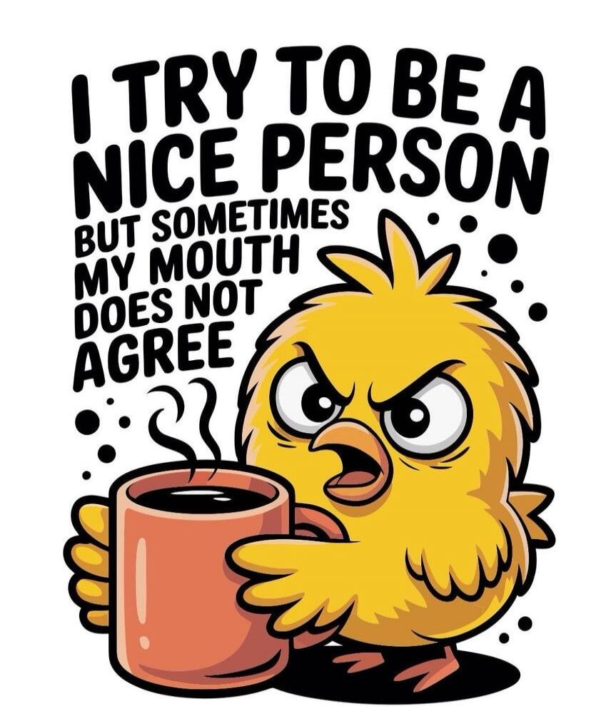 I TRY TO BE A NICE PERSON BUT SOMETIMES MY MOUTH DOES NOT AGREE