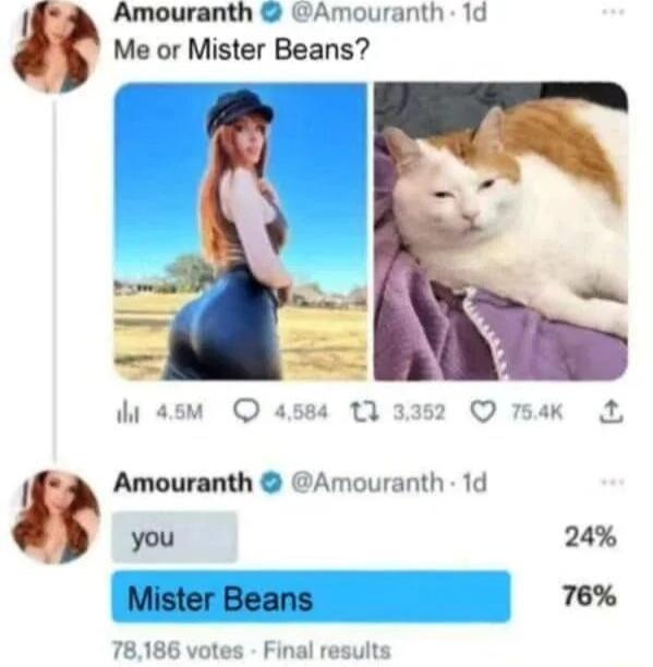 Amouranth Amouranth 1d Me or Mister Beans i oasm O 4584 T 3382 Q mak 2 Amouranth Amouranth 1d you 24 Mister Beans 76 78186 votes Final results