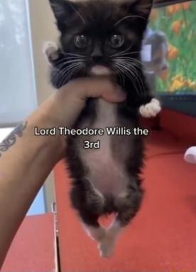 Lord TheodoreWillis the 3rd