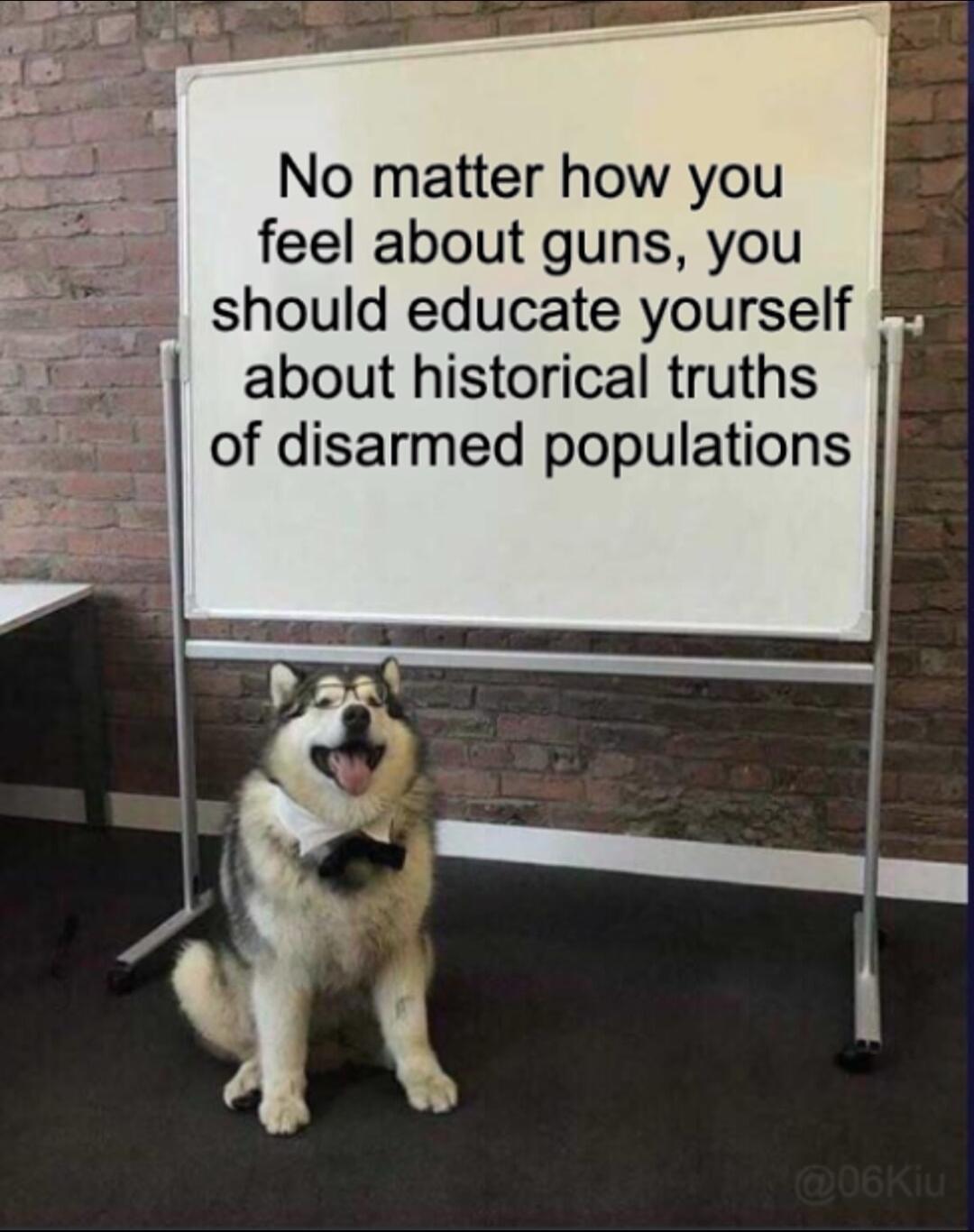 No matter how you feel about guns you should educate yourself about historical truths of disarmed populations o