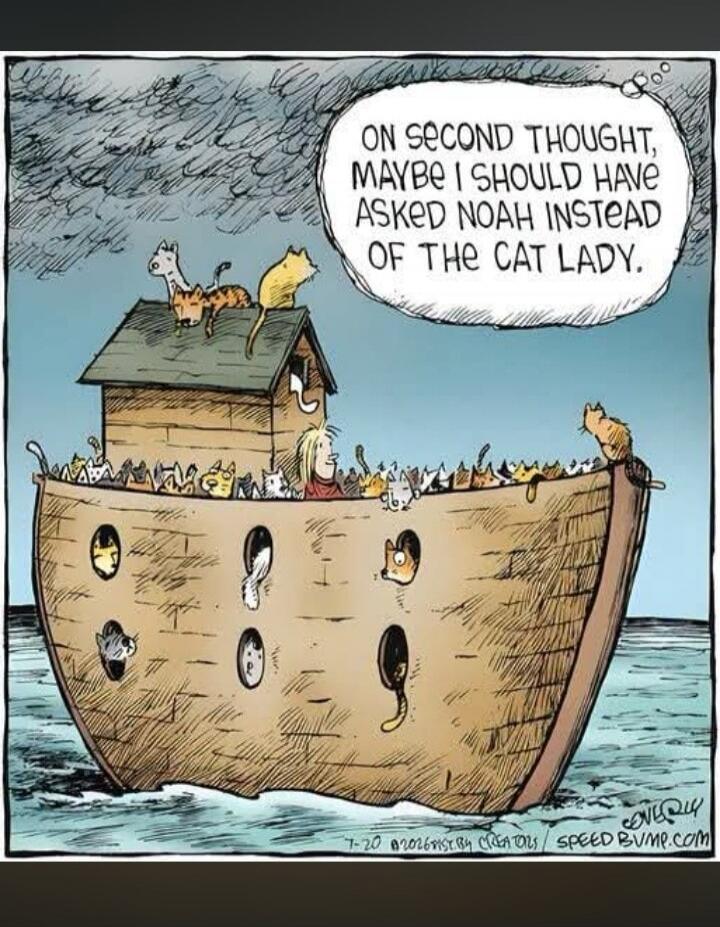 ON SECOND THOUGHT, MAYBE I SHOULD HAVE ASKED NOAH INSTEAD OF THE CAT LADY.