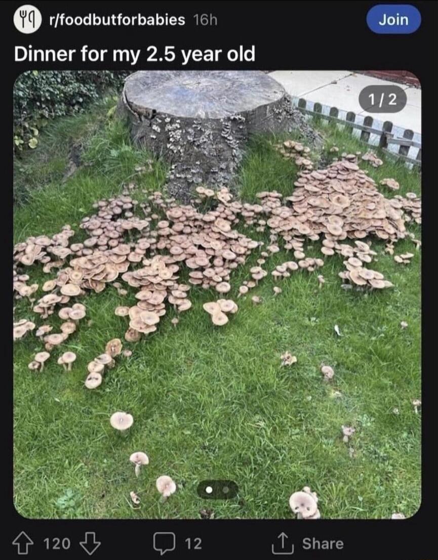 riroodbuttorbabies 161 Dinner for my 25 year old