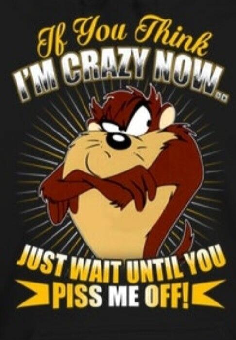 If You Think I'M CRAZY NOW... JUST WAIT UNTIL YOU PISS ME OFF!