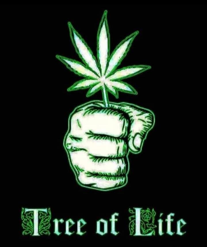 Tree of Life