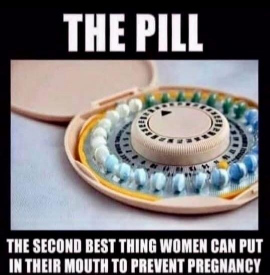 THE PILL THE SECOND BEST THING WOMEN CAN PUT IN THEIR MOUTH TO PREVENT PREGNANCY