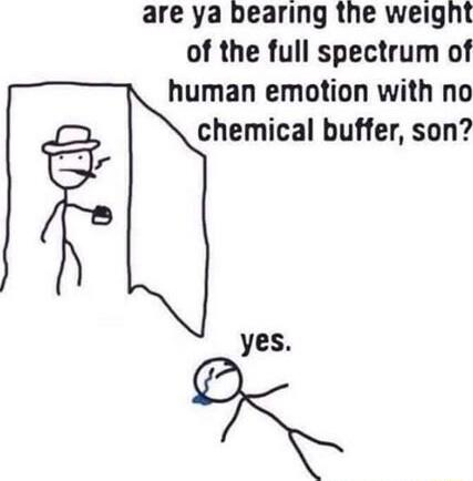 are ya bearing the weight of the full spectrum of human emotion with no chemical buffer son yes