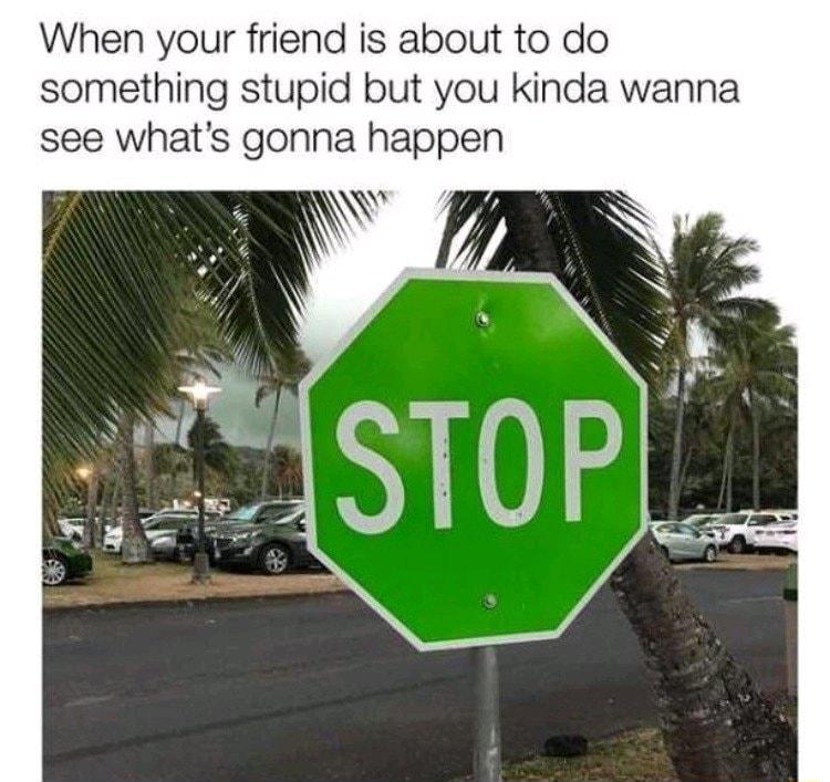When your friend is about to do something stupid but you kinda wanna see whats gonna happen