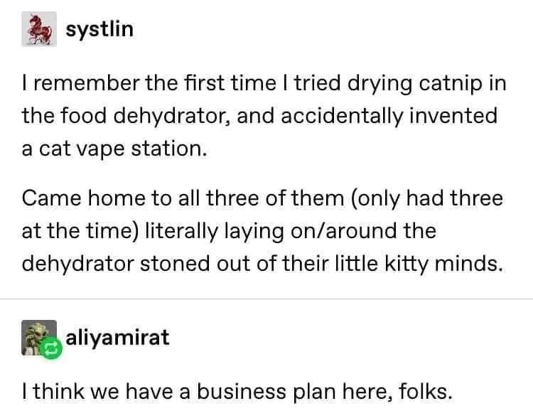 systlin remember the first time tried drying catnip in the food dehydrator and accidentally invented a cat vape station Came home to all three of them only had three at the time literally laying onaround the dehydrator stoned out of their little kitty minds aliyamirai I think we have a business plan here folks