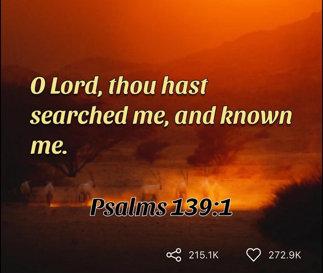 O Lord, thou hast searched me, and known me. Psalms 139:1