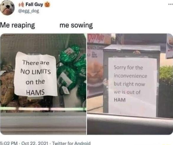 o4 Fall Guy ogg_dog Me reaping me sowing Thereare NO LIMITS on the HAMS 00 DA Oct 29 2021 Twitter for Andraid