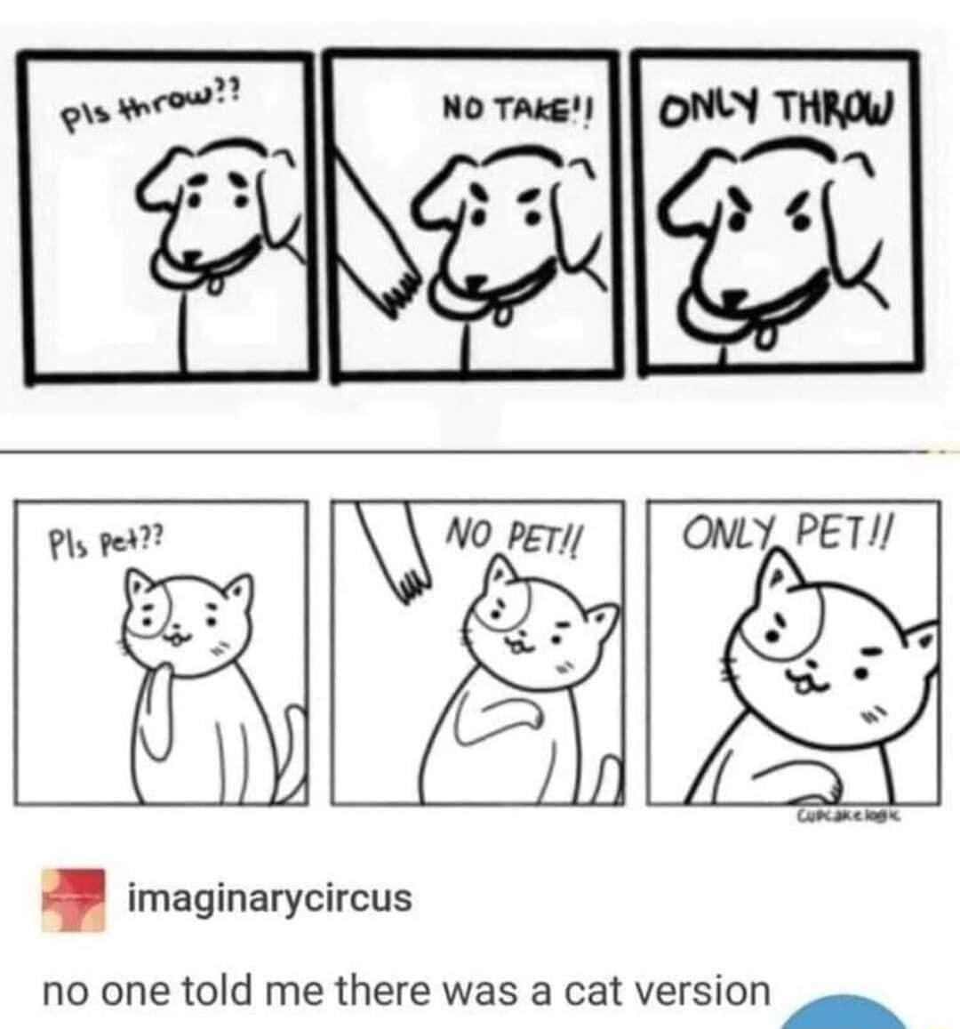 Pl 17 k ONLY PETI y WL 5 imaginarycircus no one told me there was a cat version