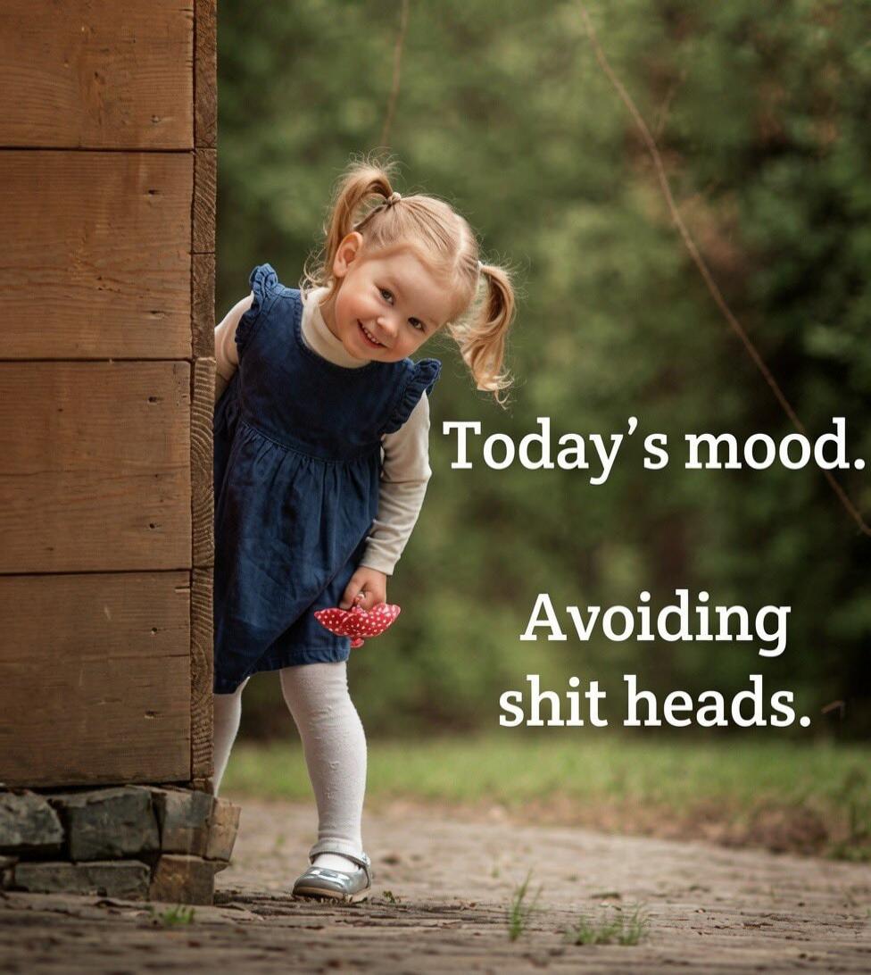 Today's mood. Avoiding shit heads.