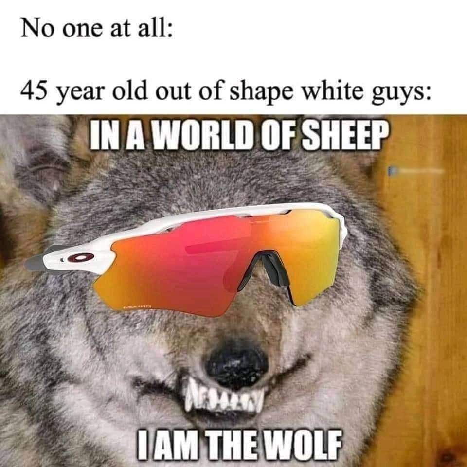No one at all 45 year old out of shape white guys INA WORLD OF SHEEP