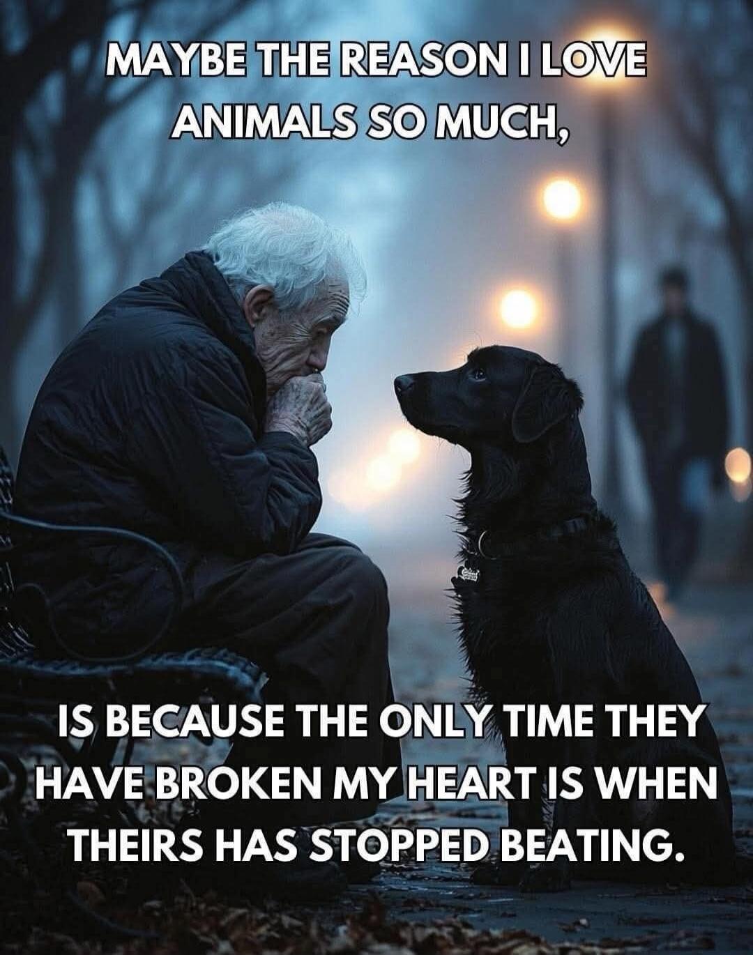 MAYBE THE REASON I LOVE ANIMALS SO MUCH, IS BECAUSE THE ONLY TIME THEY HAVE BROKEN MY HEART IS WHEN THEIRS HAS STOPPED BEATING.