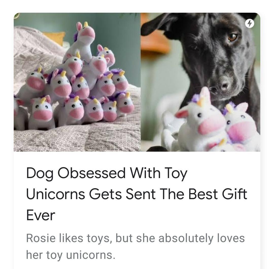 Dog Obsessed With Toy Unicorns Gets Sent The Best Gift Ever Rosie likes toys but she absolutely loves her toy unicorns