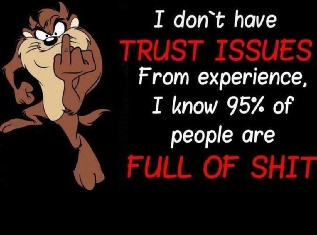 I don't have TRUST ISSUES From experience, I know 95% of people are FULL OF SHIT