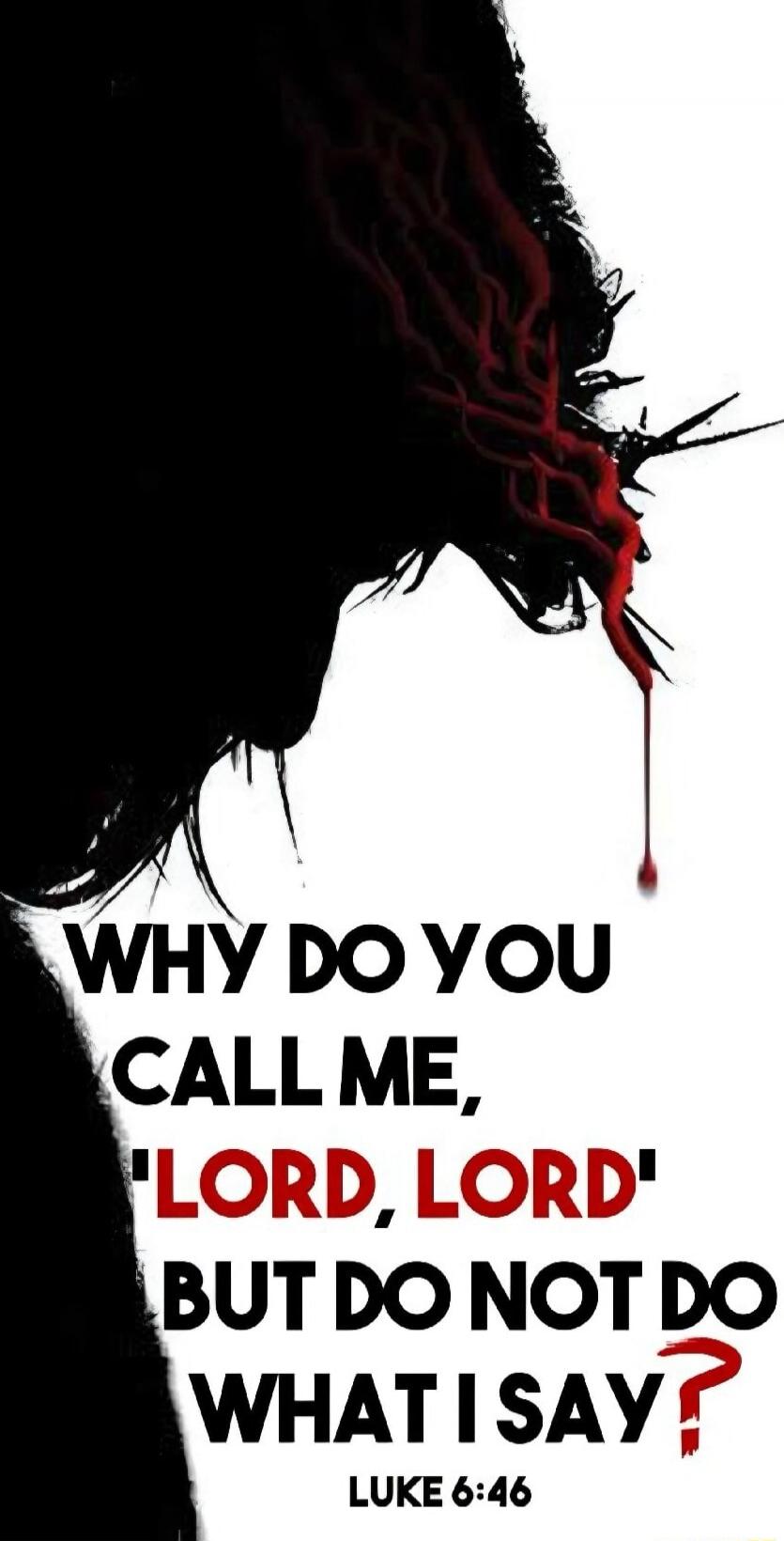 WHY DO YOU CALL ME, 'LORD, LORD' BUT DO NOT DO WHAT I SAY? LUKE 6:46