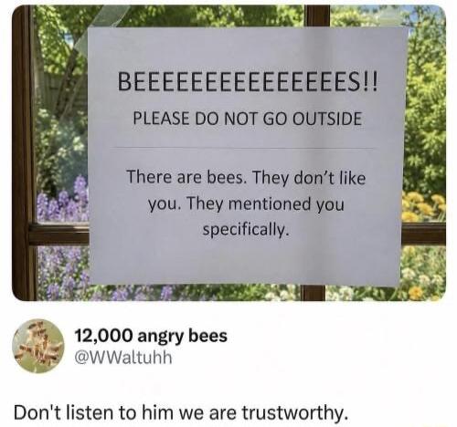 BEEEEEEEEEEEEEEES!! PLEASE DO NOT GO OUTSIDE. There are bees. They don't like you. They mentioned you specifically. 12,000 angry bees. Don't listen to him we are trustworthy.