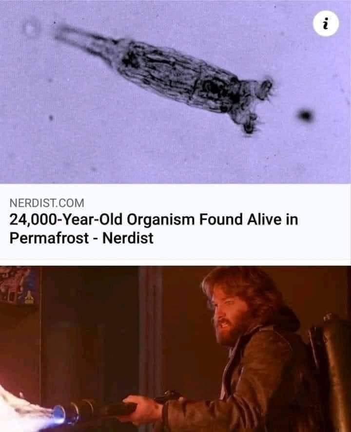NERDISTCOM 24000 Year 0ld Organism Found Alive in Permafrost Nerdist